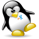 Penguin pingouin pinguino 143